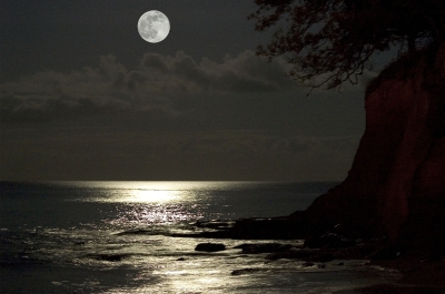 Moonlight

